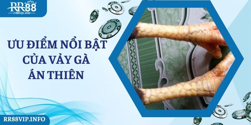 Ưu điểm nổi bật của vảy gà án thiên