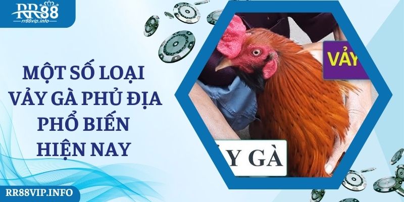 Một số loại vảy gà phủ địa phổ biến hiện nay